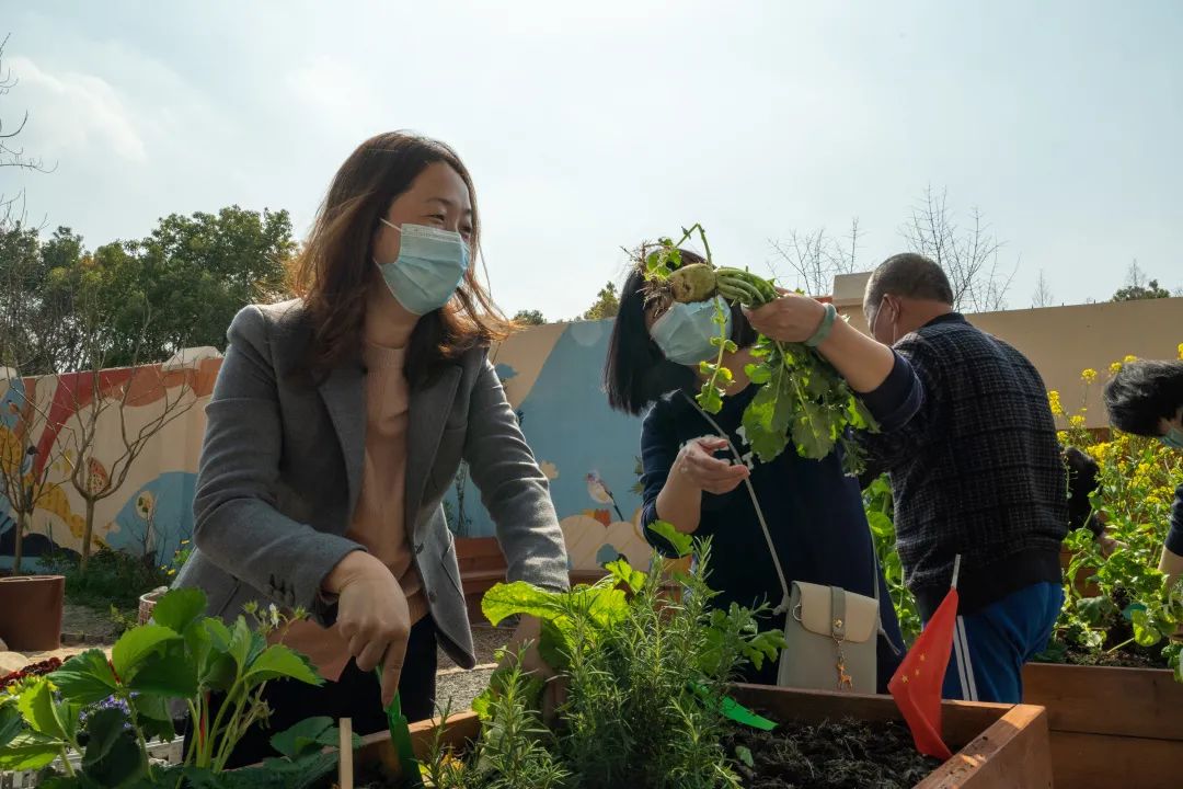 小区建设,2019年底新落成的"生境花园,让虹旭小区环境上了一个档次