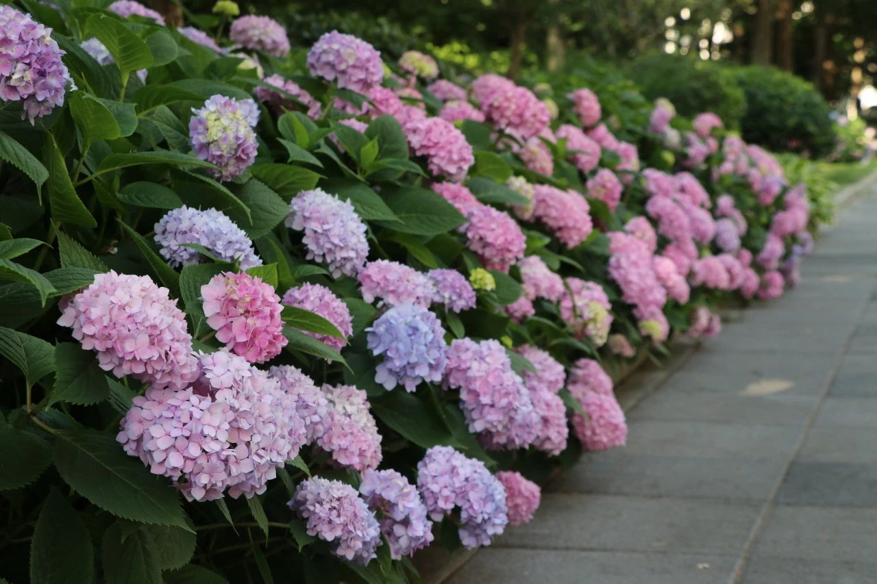 image019.jpg
