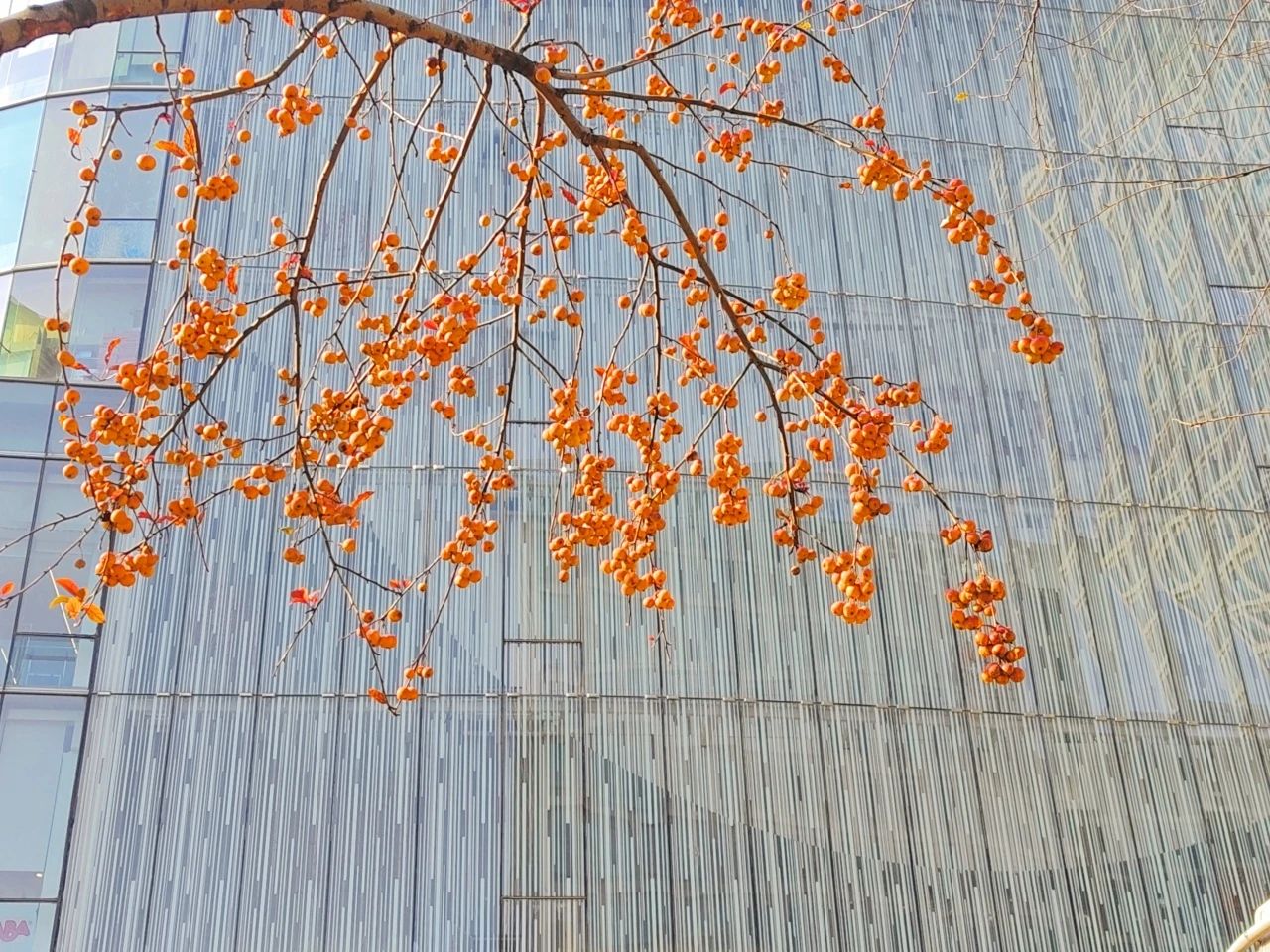 image015.jpg