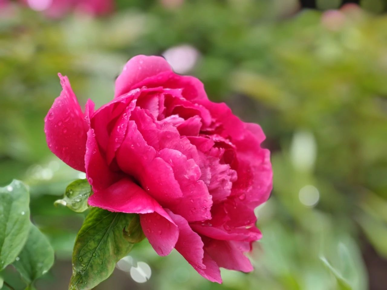image005.jpg