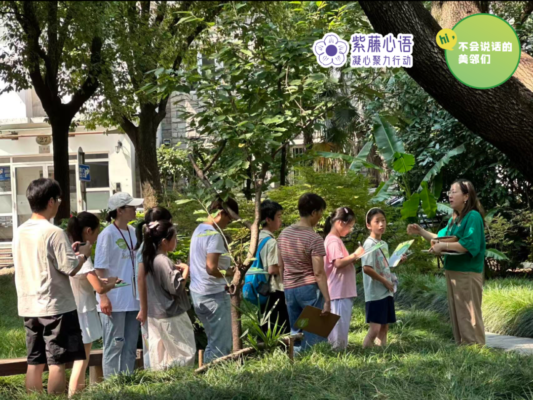 小区绿地还能怎么玩？来看长宁这个社区的“生物小世界”