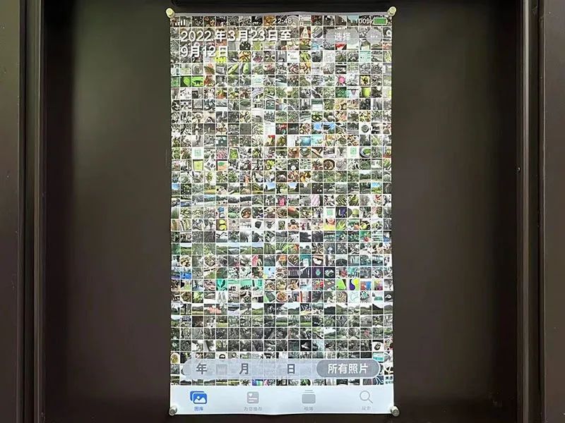 3.jpeg