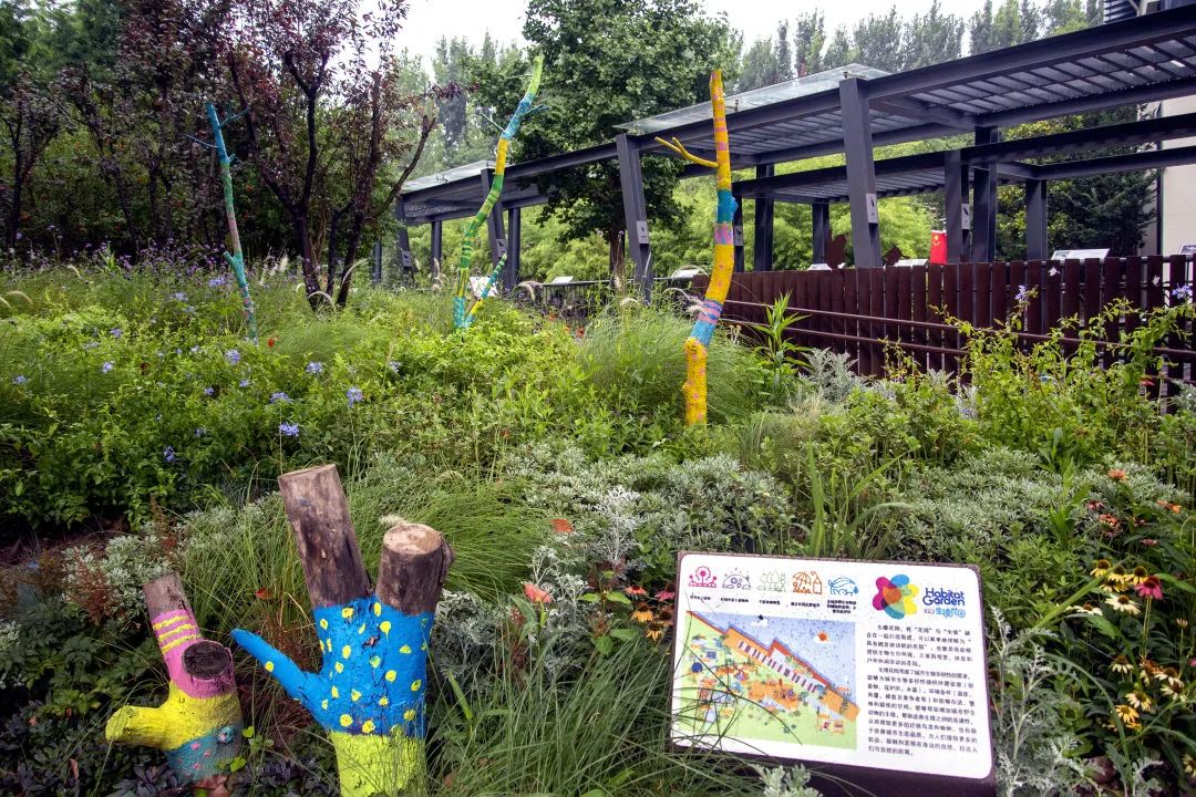 image007.jpg