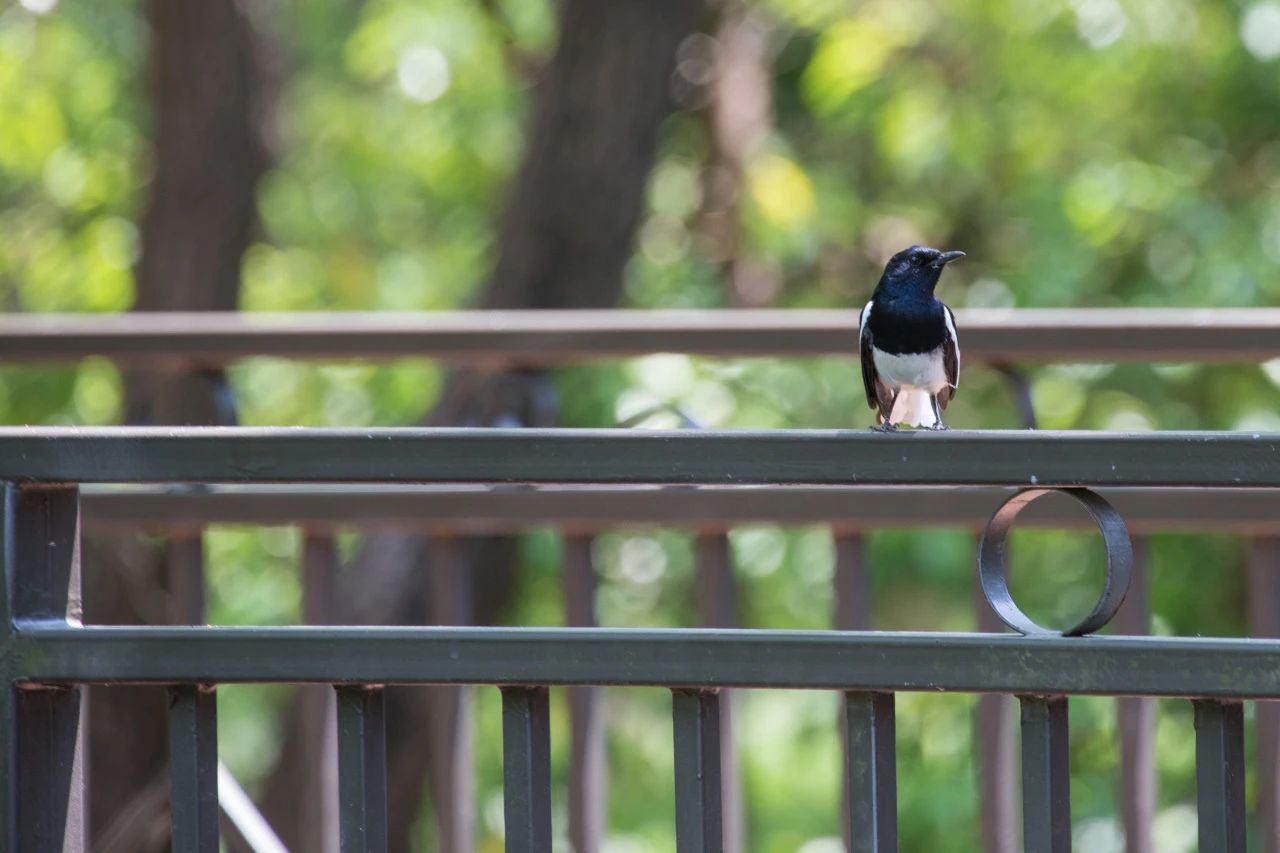 image007.jpg