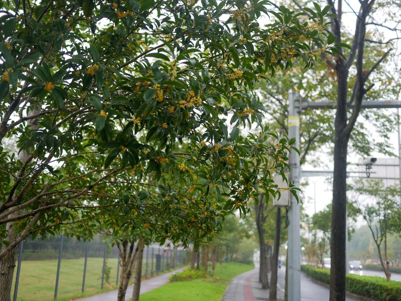 image005.jpg