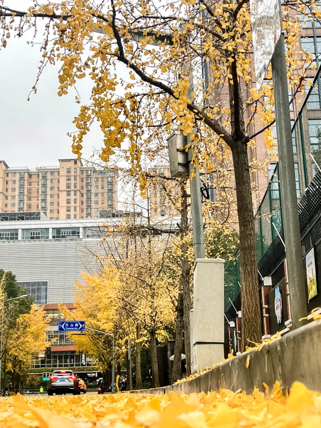 55ae7851dd645c0e9813643a9a19088d