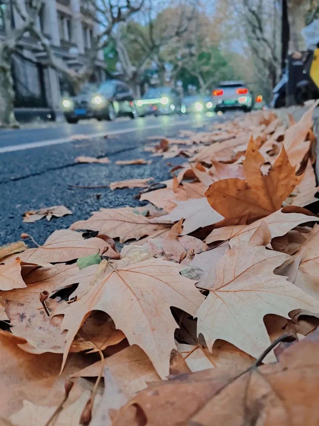 97e6cdf57810e1197f2afcbe113b238b