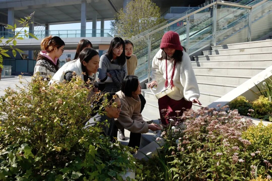 白领化身“园丁”，守护楼宇中的生境花园