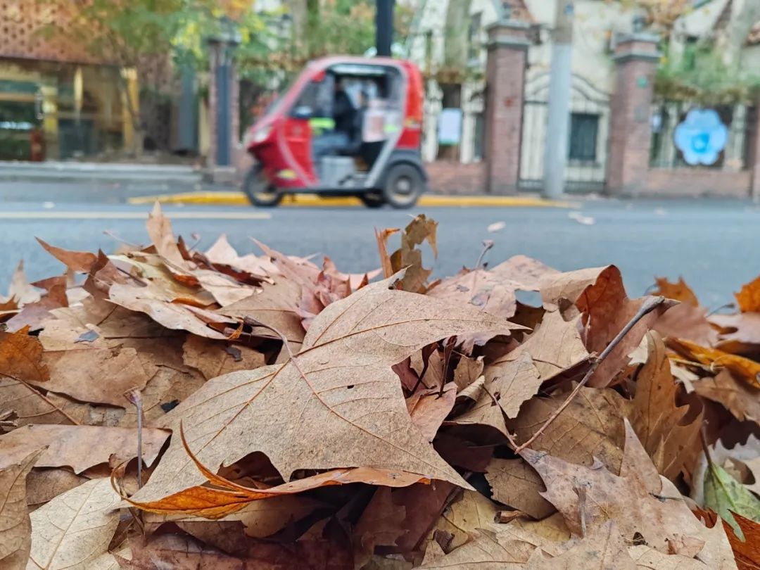 3cebf68ee93d019b291ae26af1a0c44d