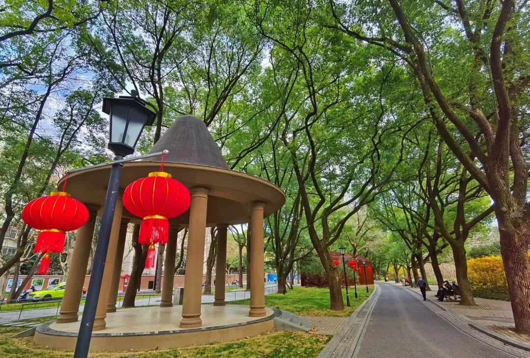 红红火火4.jpg