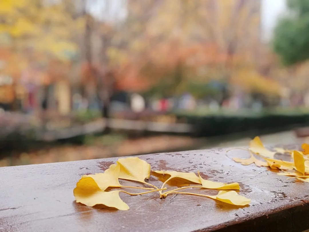 631fca0728bcabdfcbf682b41df7600b