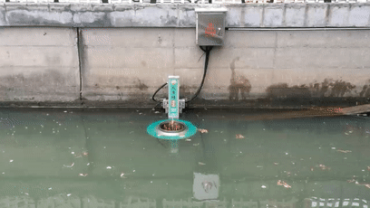 4.gif