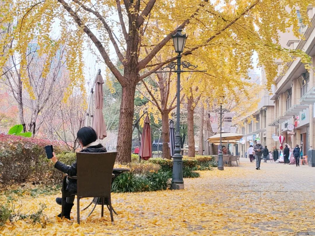 520d5350a3644df19bcde05959522e30