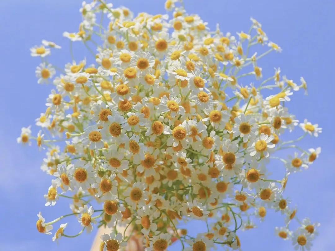 上海长宁区门户网站社区 斜杠空间 共创 老物件征集 新华社区这些有趣活动等你参加