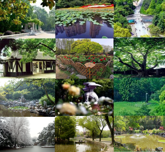 image009.png