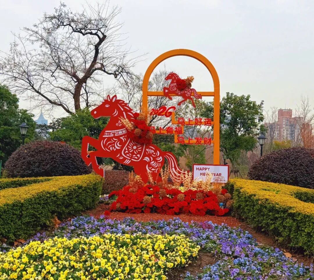 满目锦绣年味浓！长宁换上新妆迎新春