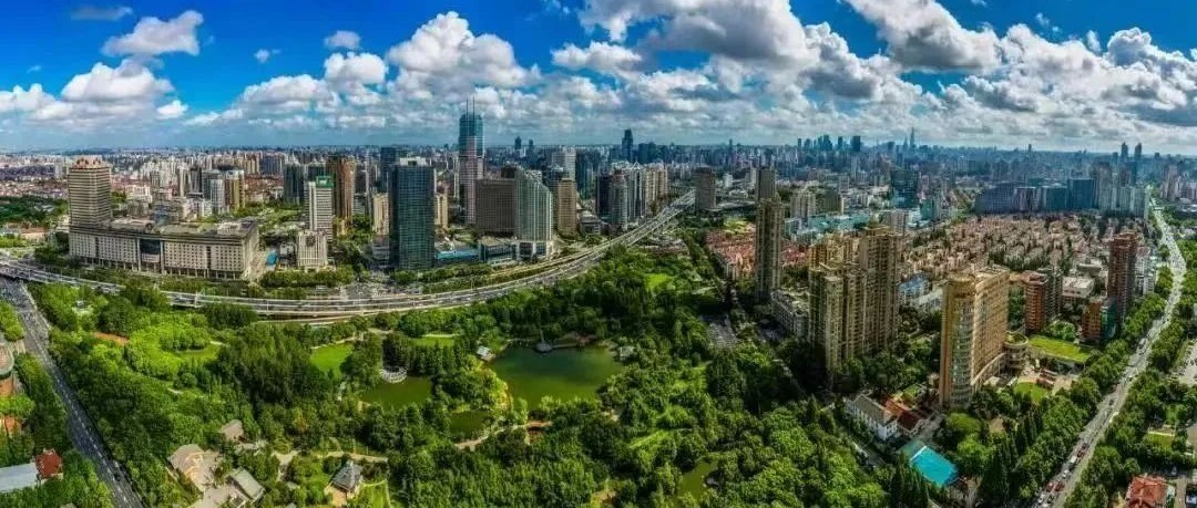 探讨园区运营智能体与智慧政务应用需求！长宁区政企共探AI赋能治理新场景