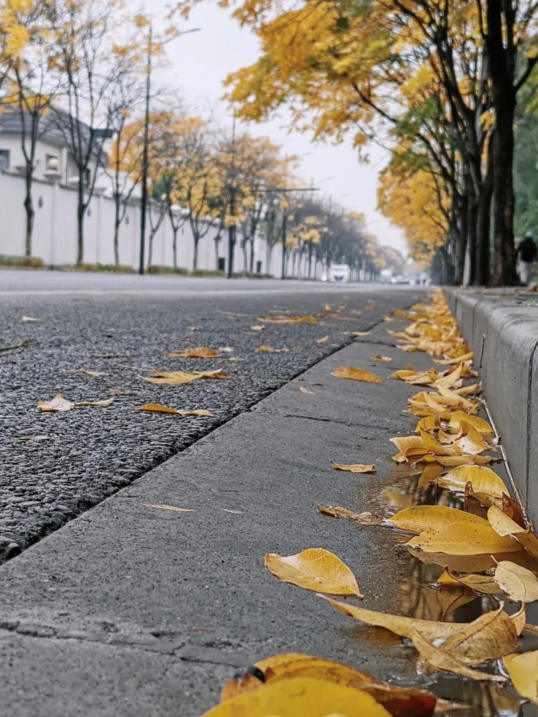 6ef4e679f0f59029d2494812570de9c7