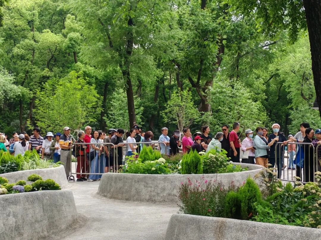 一场温柔的“花事接力”在中山公园开启