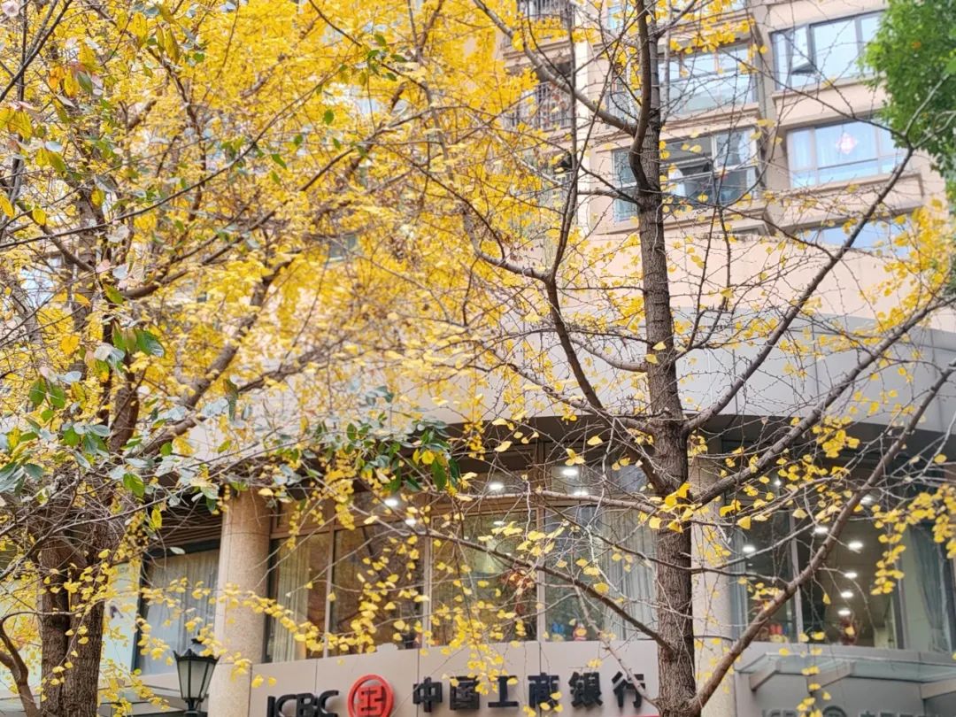 dc5aa4652349894f5b48b8561969f445