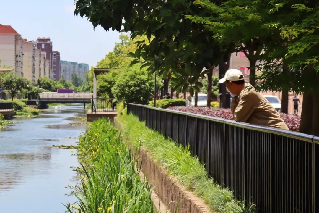 趁阳光正好，来长宁这个“家门口”河道转转吧