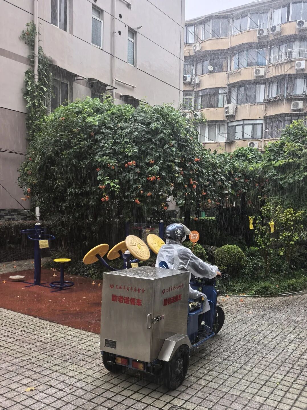 风大雨急，热饭到齐！长宁为老送餐台风天“不断档”