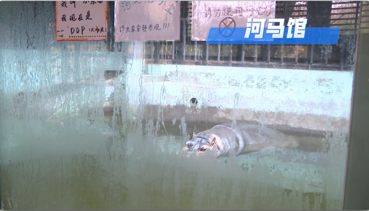 image005.png