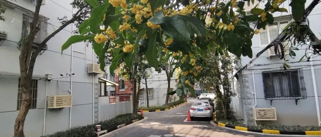 中华别墅3.jpg