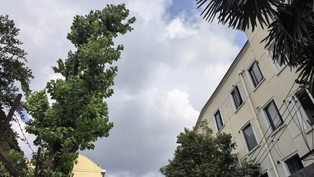 “这真是做了件大好事！”困扰居民的烦心事，终于办妥了