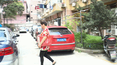 13.gif