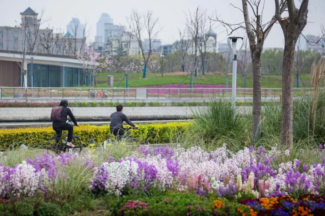 焕新升级后，长宁这个公园开启首个烂漫花季