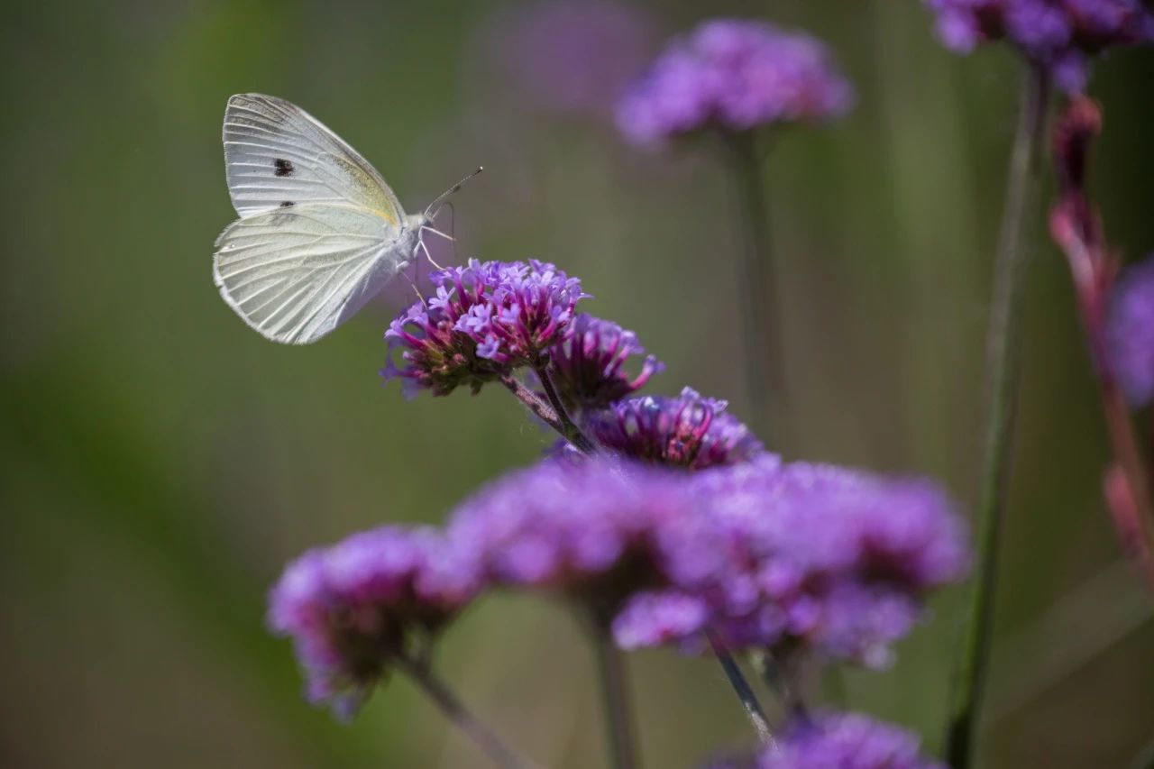 image003.jpg