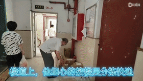 2.gif