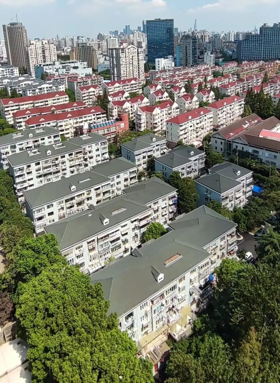 中华别墅2.jpg