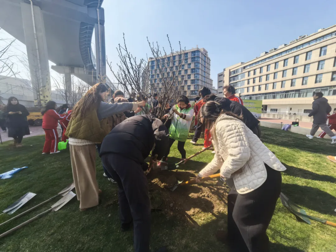 长宁这些地方绿意盎然