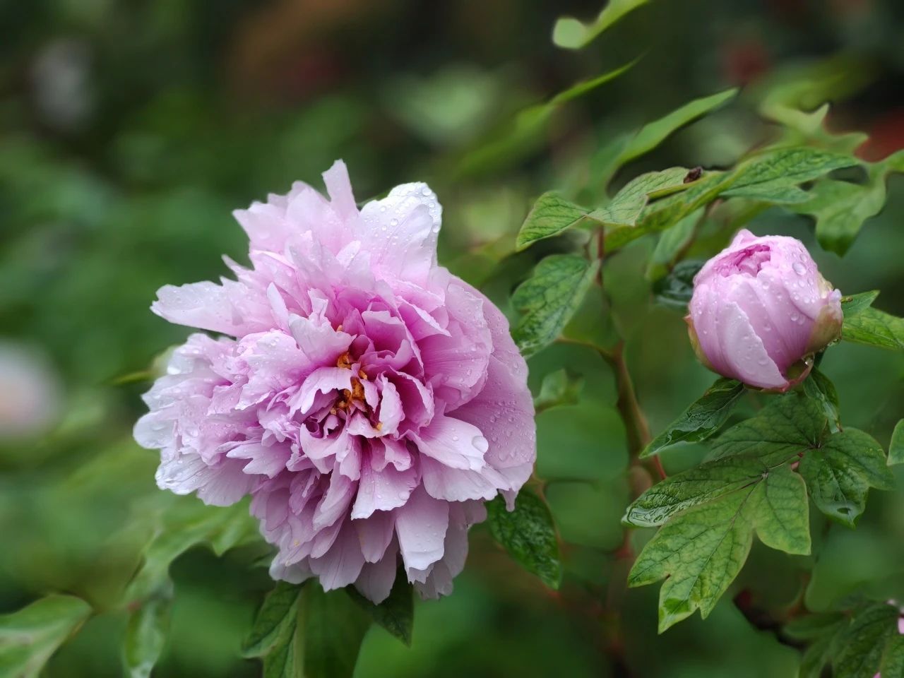 image003.jpg