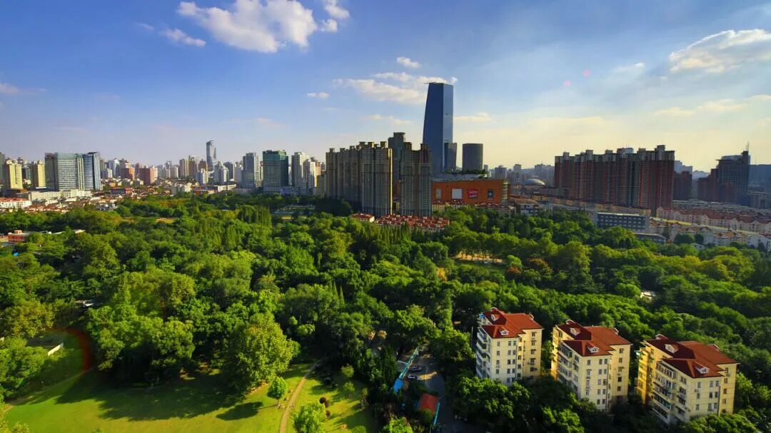 抢抓虹桥枢纽能级跃升机遇，进一步发挥长宁国际化综合优势 | 媒体视野中的长宁