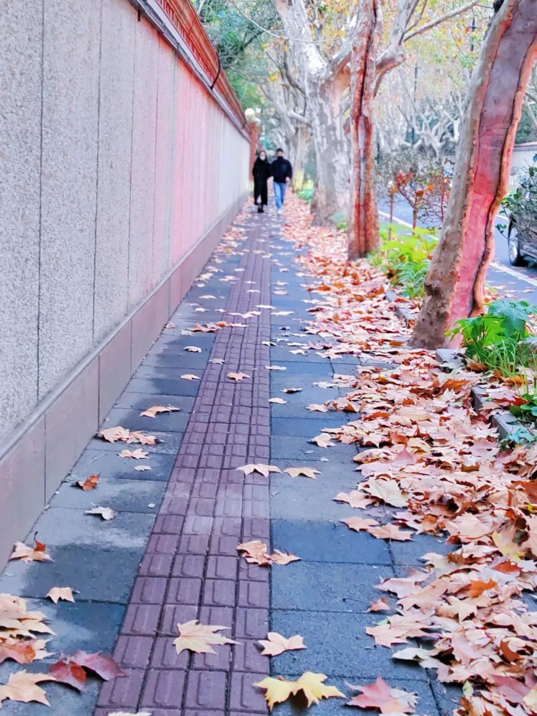 ab9512fbe07d84eceb30dc8fbb331042