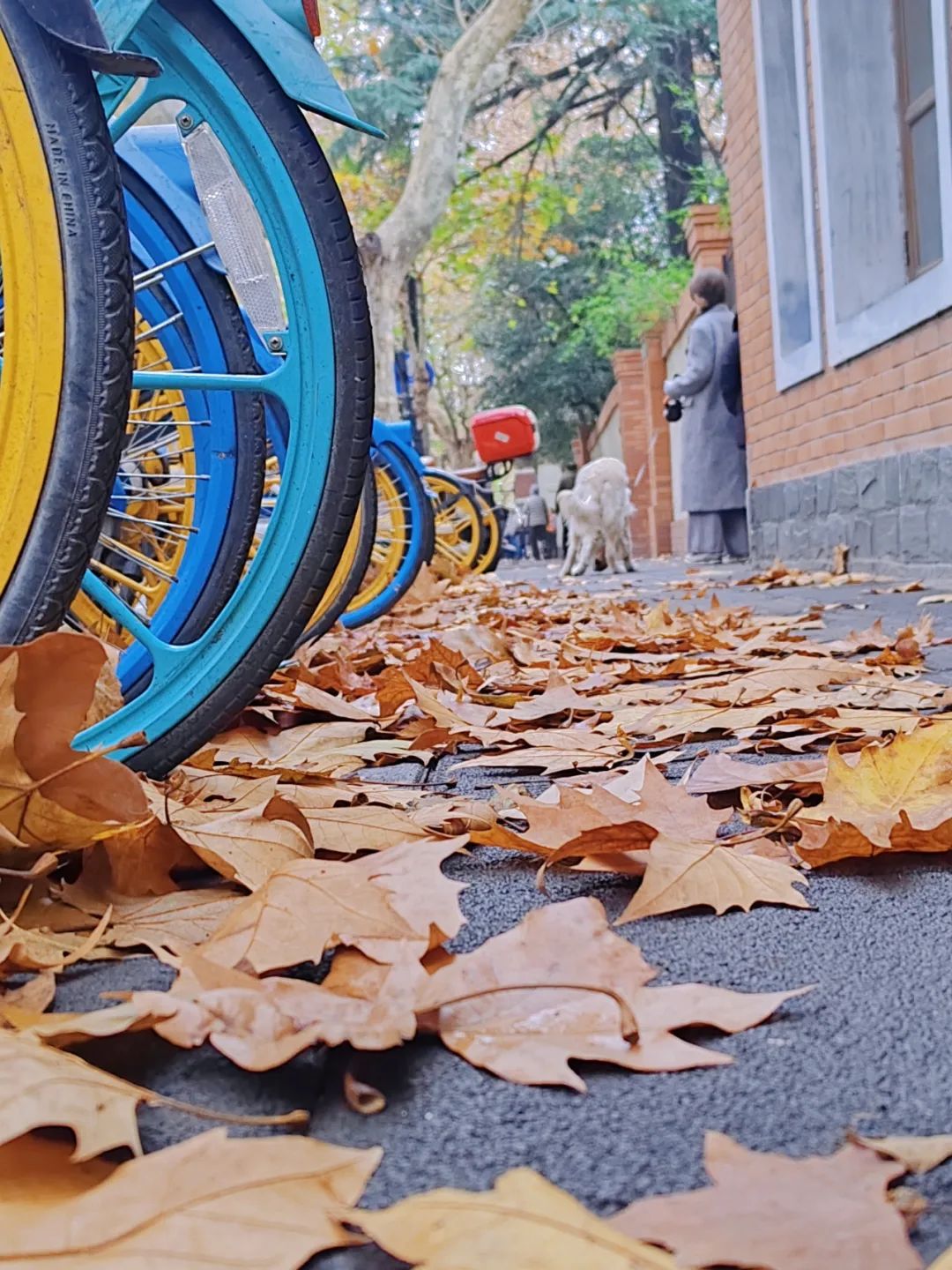 320ad2819352488aaed69b3624bbe04b