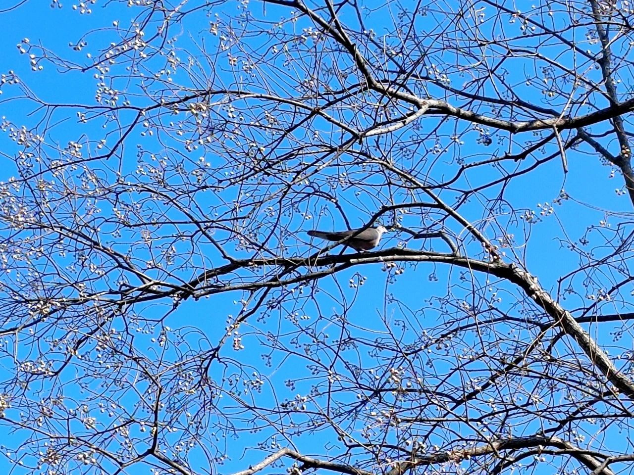 image021.jpg