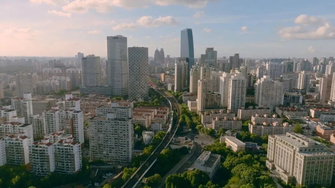 上午接听热线，下午直奔现场，区长刘平督促解决群众关心关切