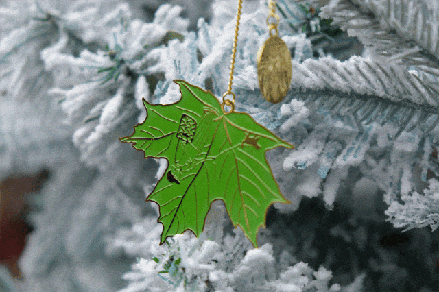 2.gif
