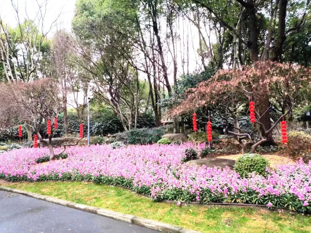 红红火火7.jpg