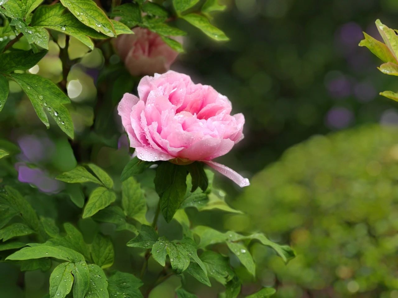 image001.jpg