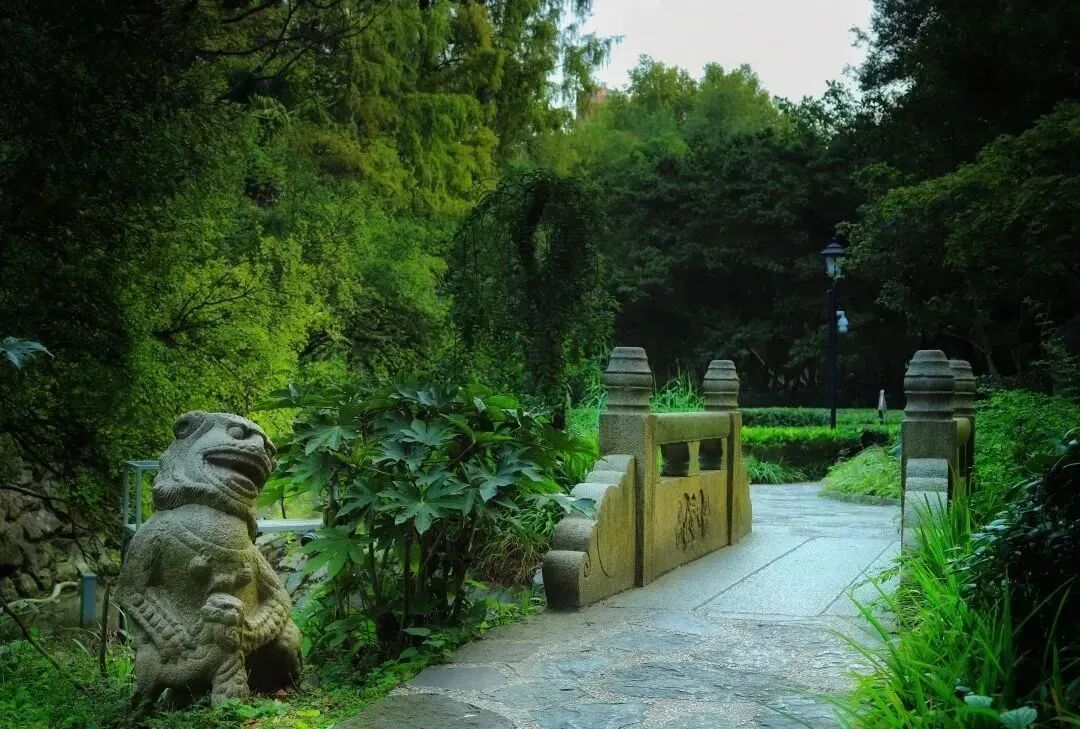 春雨中误入中山公园“秘境”，偶遇一座宋代古桥