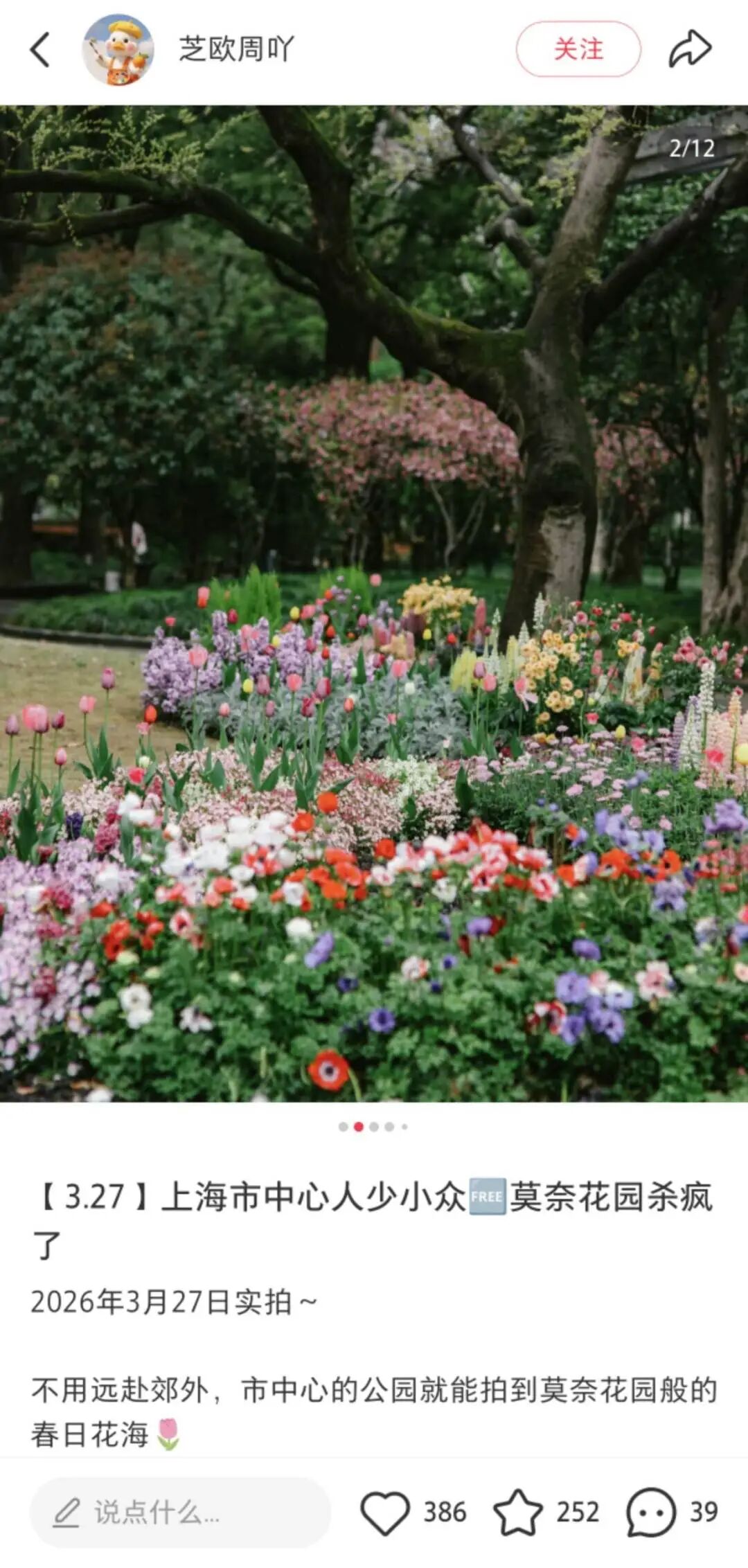 中山公园门口的这片“莫奈花园”，为什么能这么火？