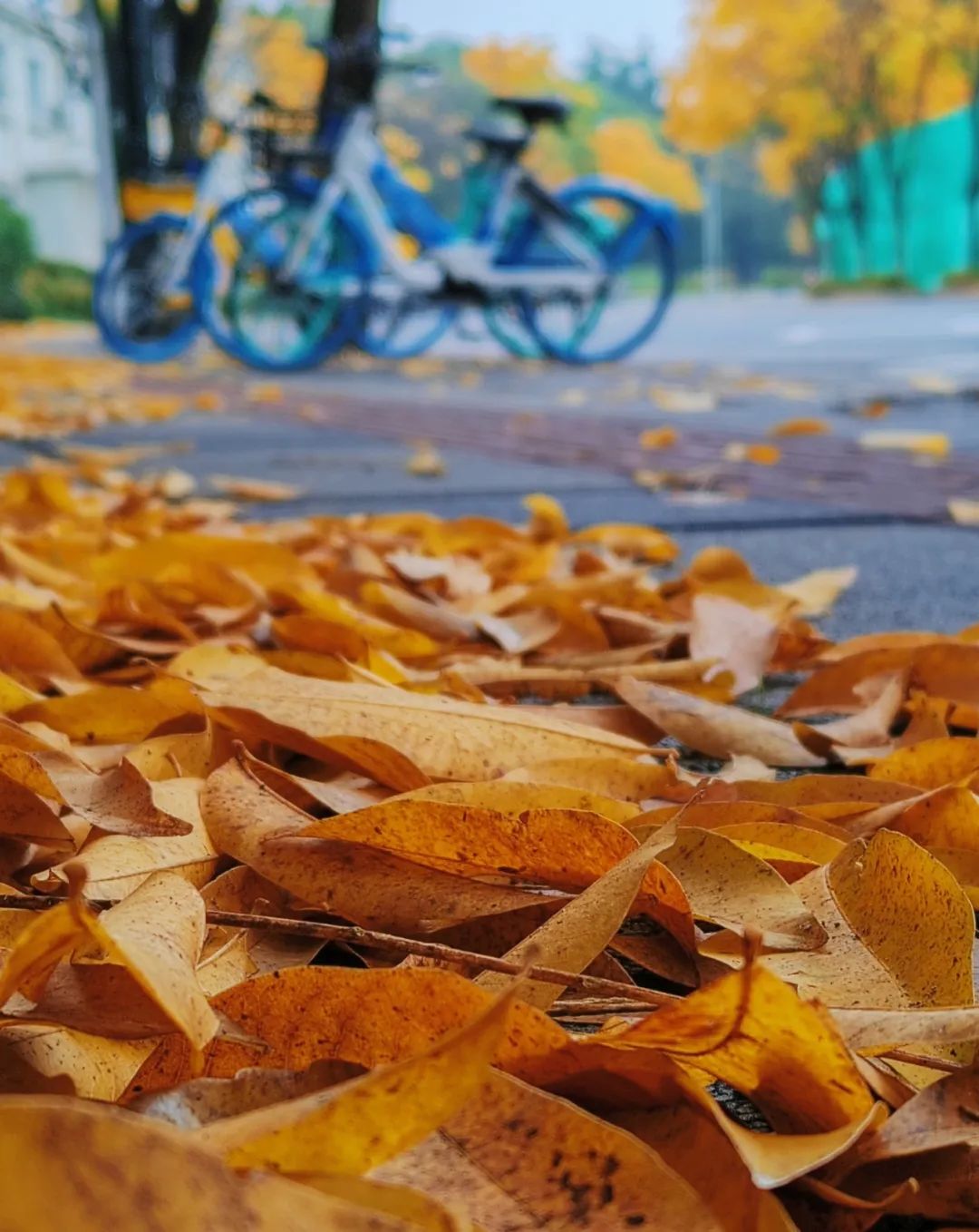 87719068d510e9927b953a496dd370e2