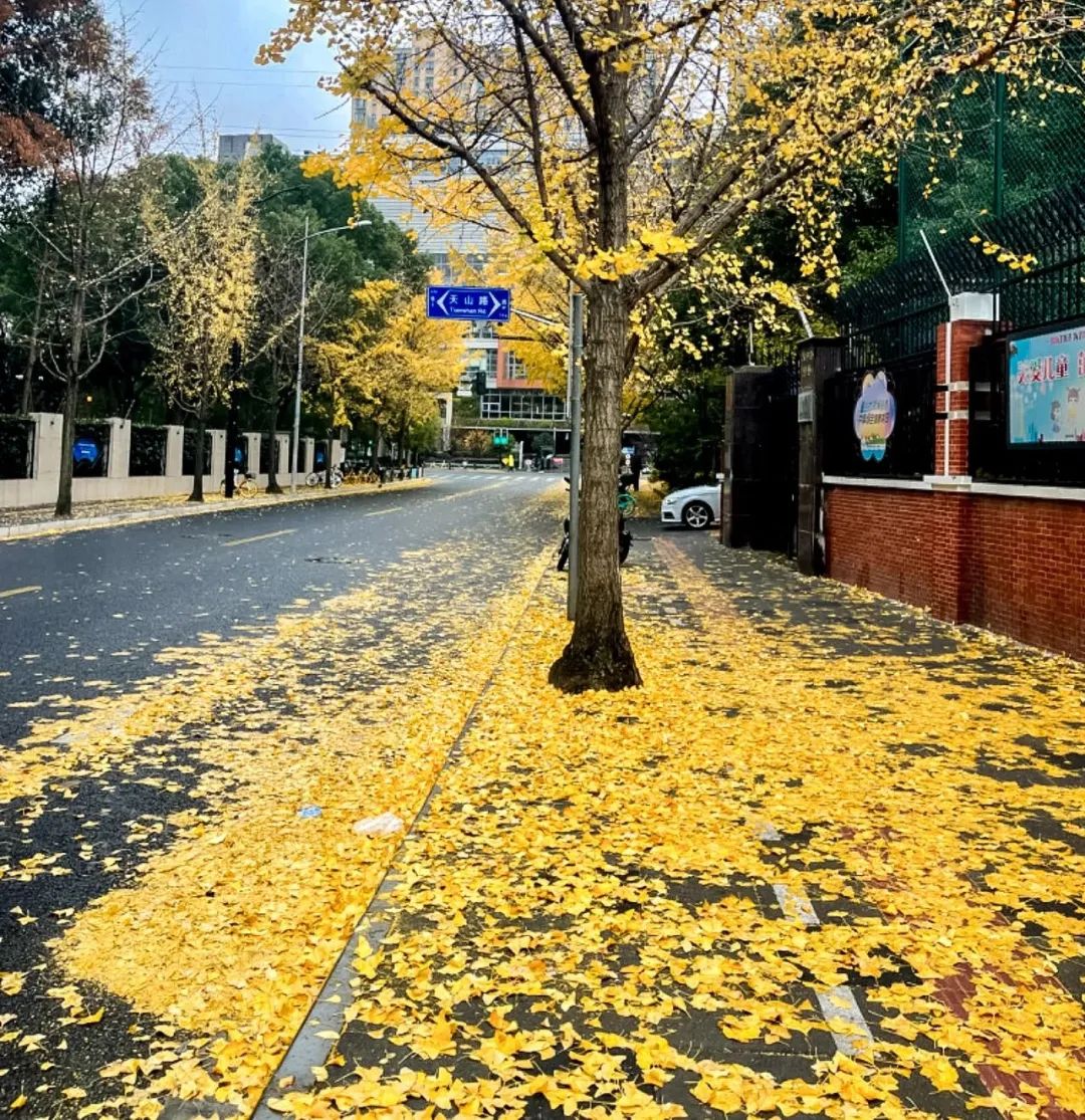 4043b55819308bfc7bc91f58de7bccb7