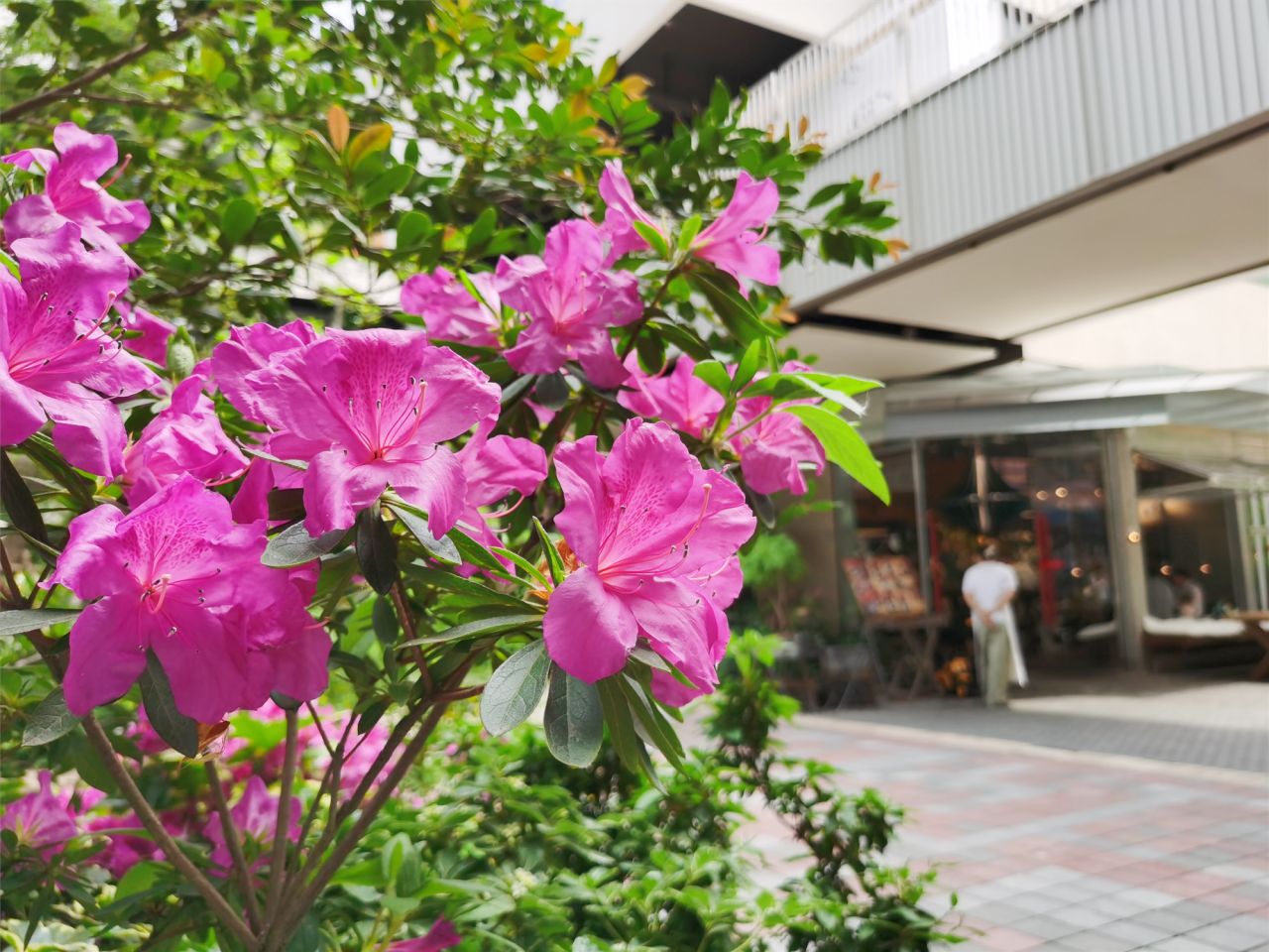 image011.png