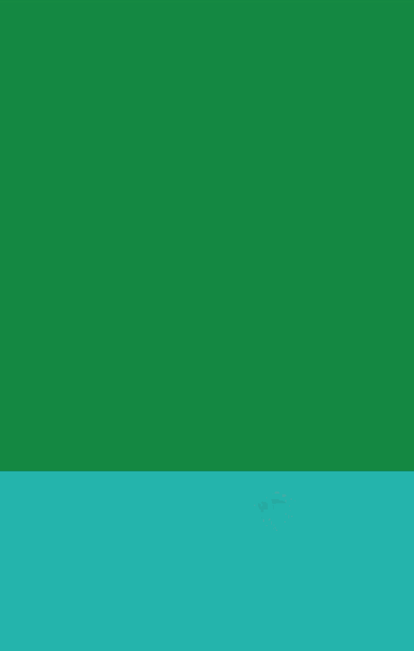 5.gif